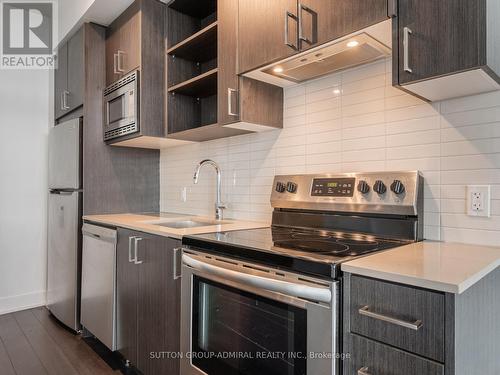 314 - 60 George Butchart Drive, Toronto, ON - Indoor Photo Showing Kitchen With Stainless Steel Kitchen With Upgraded Kitchen