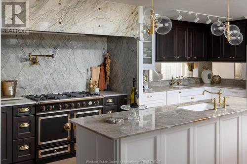 366 Elmgrove, Lakeshore, ON - Indoor Photo Showing Kitchen With Upgraded Kitchen