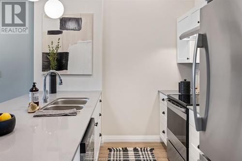 3160 Meadowbrook Lane Unit# 103, Windsor, ON - Indoor Photo Showing Kitchen With Double Sink