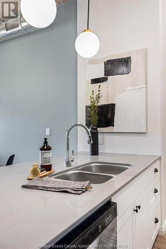 3160 Meadowbrook Lane Unit# 103, Windsor, ON - Indoor Photo Showing Kitchen With Double Sink