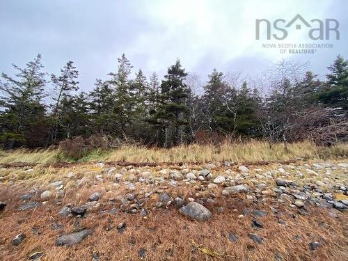 Lot N-1 Port Latour Road, Reynoldscroft, NS 