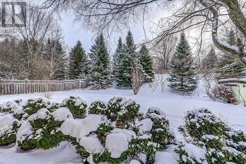 2007 Snow Valley Road, Springwater, ON - Outdoor With View