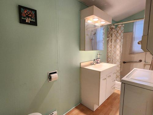 Bathroom - 1772 Rue Du Pont, Sainte-Julienne, QC - Indoor Photo Showing Laundry Room