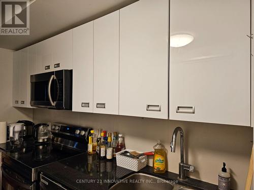 225 - 652 Princess Street, Kingston, ON - Indoor Photo Showing Kitchen With Double Sink