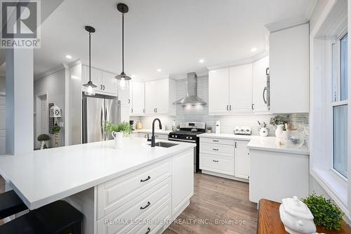 85 Barons Avenue S, Hamilton, ON - Indoor Photo Showing Kitchen With Upgraded Kitchen