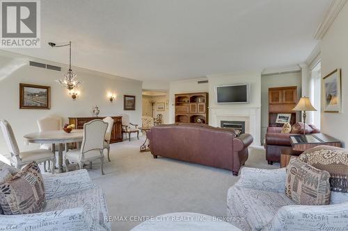 207 - 250 Sydenham Street, London, ON - Indoor Photo Showing Living Room With Fireplace