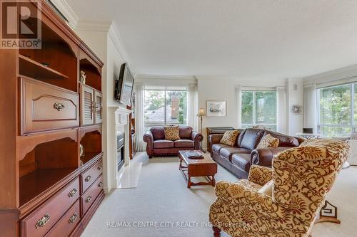 207 - 250 Sydenham Street, London, ON - Indoor Photo Showing Living Room