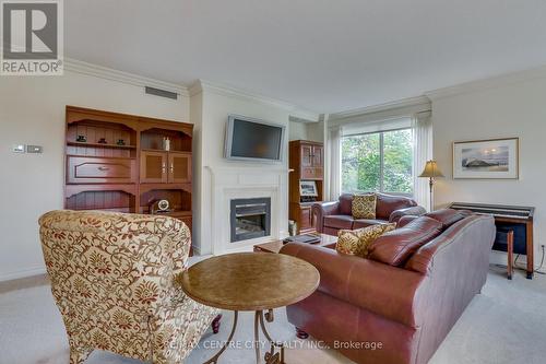 207 - 250 Sydenham Street, London, ON - Indoor Photo Showing Living Room With Fireplace