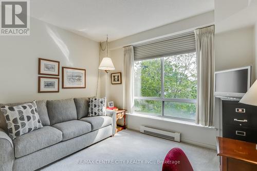 207 - 250 Sydenham Street, London, ON - Indoor Photo Showing Living Room