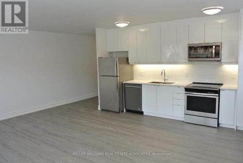 101 - 257 Torrens Avenue, Toronto, ON - Indoor Photo Showing Kitchen With Stainless Steel Kitchen With Double Sink