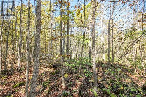 1019 Bruce Road 9, South Bruce Peninsula, ON - Outdoor With View