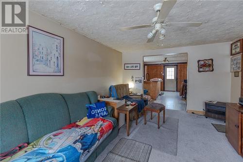 376 John Street, Espanola, ON - Indoor Photo Showing Living Room