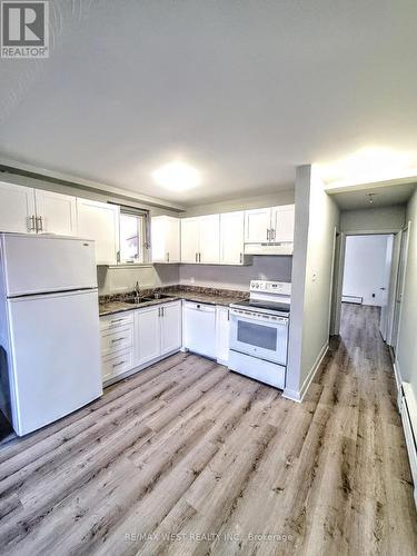 17 Virginia Avenue, Toronto, ON - Indoor Photo Showing Kitchen With Double Sink