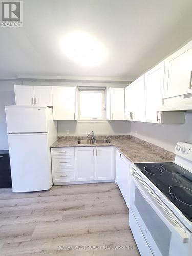 17 Virginia Avenue, Toronto, ON - Indoor Photo Showing Kitchen With Double Sink