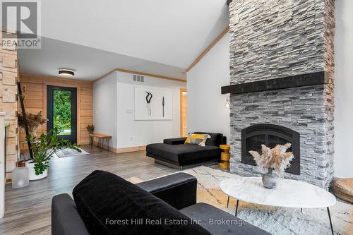 120 Confederation Drive, Chatsworth, ON - Indoor Photo Showing Living Room With Fireplace