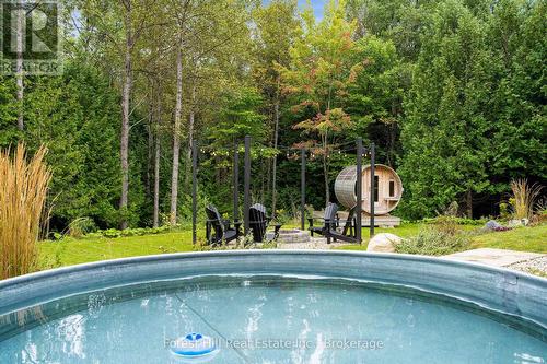 120 Confederation Drive, Chatsworth, ON - Outdoor With Above Ground Pool