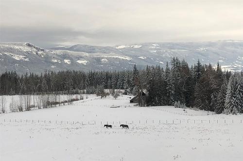 100 Lidstone Road, Salmon Arm, BC - Outdoor With View