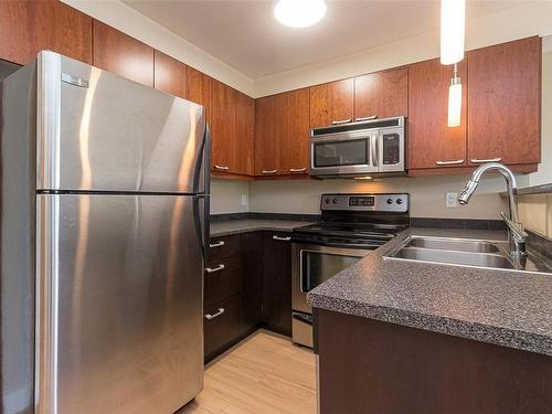 306-356 Gorge Rd East, Victoria, BC - Indoor Photo Showing Kitchen With Double Sink