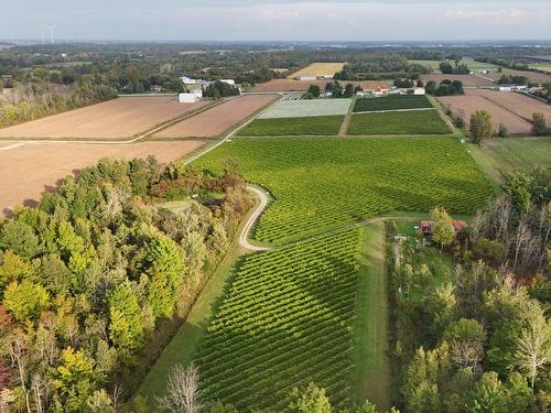 Overall view - 2045Z Rg Notre-Dame, Saint-Rémi, QC - Outdoor With View