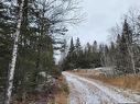 Pt Lot 14 Ostersund Road, Keewatin, ON 