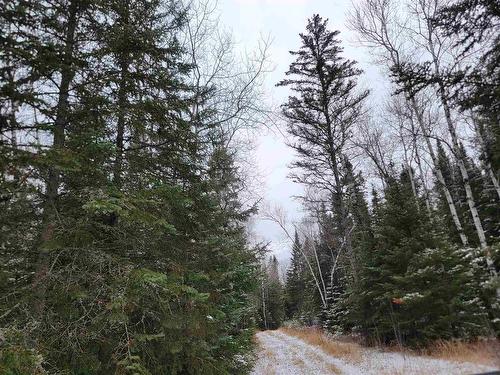 Pt Lot 14 Ostersund Road, Keewatin, ON 