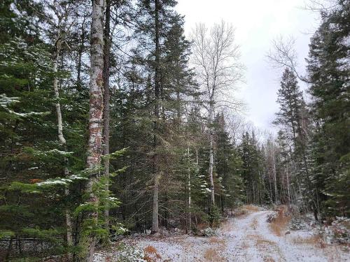 Pt Lot 14 Ostersund Road, Keewatin, ON 