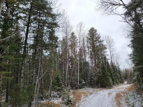 Pt Lot 14 Ostersund Road, Keewatin, ON 