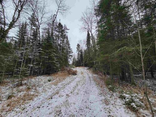 Pt Lot 14 Ostersund Road, Keewatin, ON 