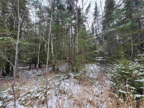 Pt Lot 14 Ostersund Road, Keewatin, ON 