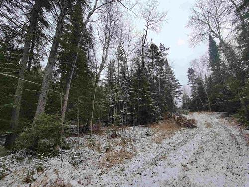 Pt Lot 14 Ostersund Road, Keewatin, ON 