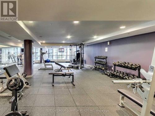 2009 - 231 Fort York Boulevard, Toronto, ON - Indoor Photo Showing Gym Room