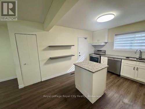 95 Bailey Avenue, Guelph (June Avenue), ON - Indoor Photo Showing Kitchen With Stainless Steel Kitchen