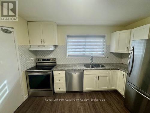 95 Bailey Avenue, Guelph (June Avenue), ON - Indoor Photo Showing Kitchen With Stainless Steel Kitchen With Double Sink