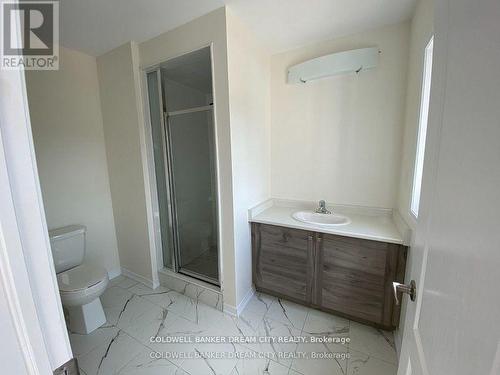 227 Gillespie Drive, Brantford, ON - Indoor Photo Showing Bathroom