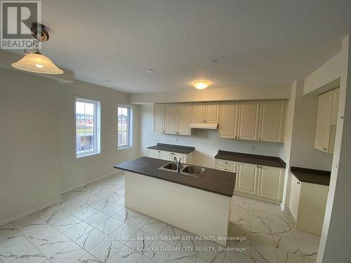 227 Gillespie Drive, Brantford, ON - Indoor Photo Showing Kitchen With Double Sink