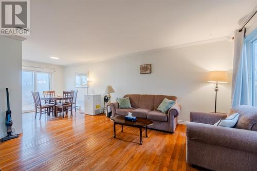 182 Bay Bulls Road, St. John'S, NL - Indoor Photo Showing Living Room