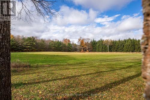 382105 Con 17 Road N, Georgian Bluffs, ON - Outdoor With View