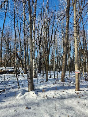 Lot Cedar Sands Rdwy Way, Rideau Lakes, ON 