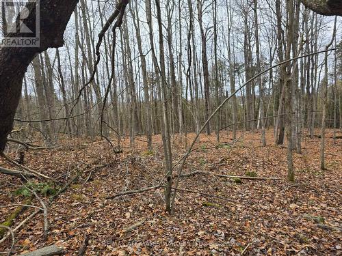 Lot Cedar Sands Rdwy Way, Rideau Lakes, ON 