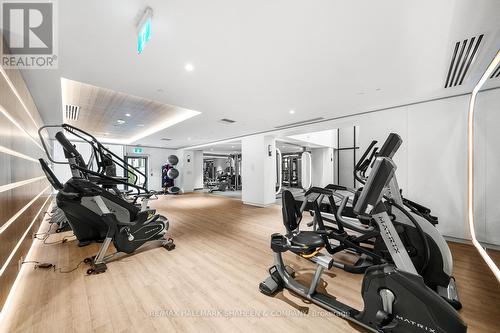 Lph32 - 1100 Sheppard Avenue W, Toronto, ON - Indoor Photo Showing Gym Room