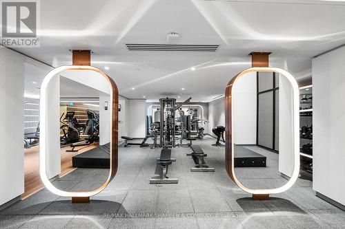 Lph32 - 1100 Sheppard Avenue W, Toronto, ON - Indoor Photo Showing Gym Room