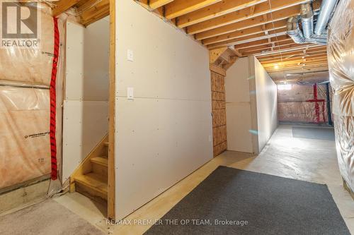 238 Medici Lane, Hamilton, ON - Indoor Photo Showing Basement