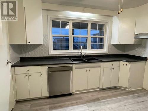 17 Georgia Loop, Stephenville, NL - Indoor Photo Showing Kitchen With Double Sink