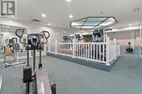 703 - 495 8 Highway, Hamilton, ON - Indoor Photo Showing Gym Room