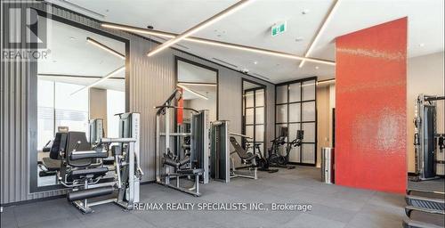 1016 - 212 King William Street, Hamilton, ON - Indoor Photo Showing Gym Room