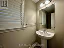 866 Riverview Way, Kingston (Kingston East (Incl Barret Crt)), ON  - Indoor Photo Showing Bathroom 