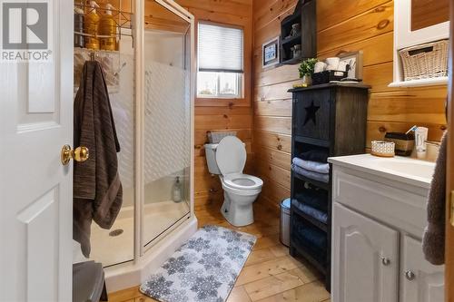 55 World Pond Road, Port Rexton, NL - Indoor Photo Showing Bathroom