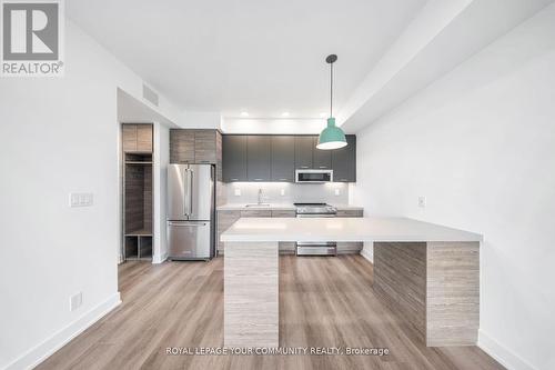 407 - 484 Spadina Avenue, Toronto, ON - Indoor Photo Showing Kitchen With Upgraded Kitchen