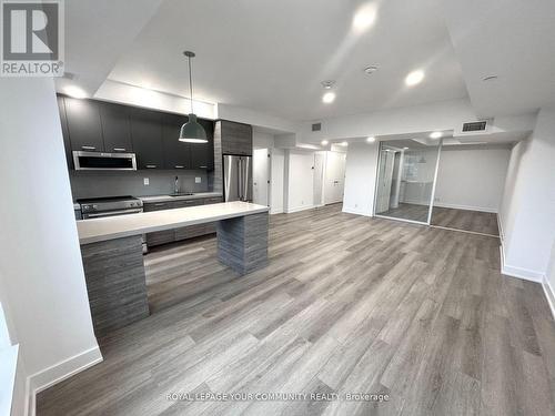 203 - 484 Spadina Avenue, Toronto, ON - Indoor Photo Showing Kitchen