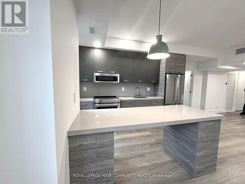 203 - 484 Spadina Avenue, Toronto, ON - Indoor Photo Showing Kitchen